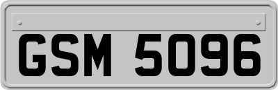 GSM5096
