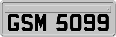 GSM5099