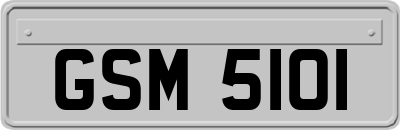 GSM5101