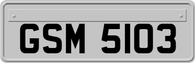 GSM5103