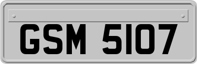 GSM5107