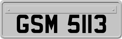 GSM5113