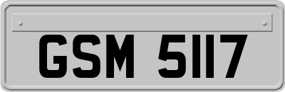GSM5117