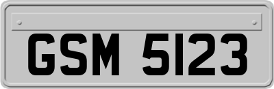 GSM5123