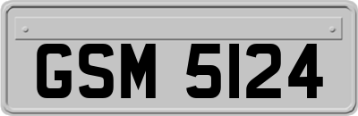GSM5124