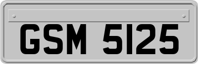 GSM5125
