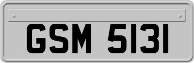 GSM5131