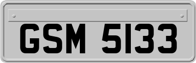GSM5133