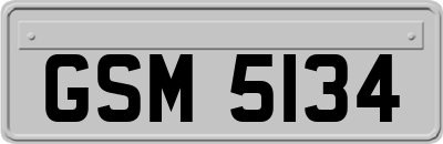 GSM5134