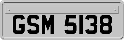 GSM5138