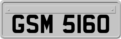 GSM5160