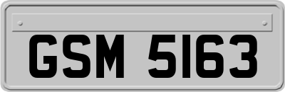 GSM5163