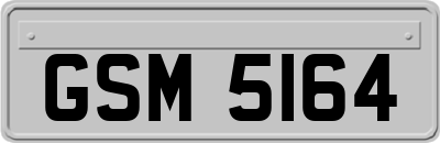 GSM5164