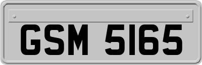 GSM5165