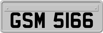 GSM5166