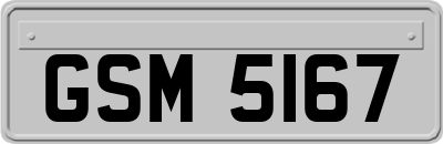 GSM5167