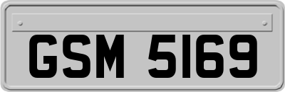 GSM5169