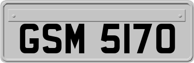 GSM5170