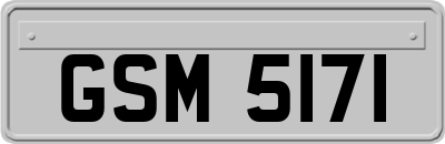 GSM5171