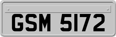 GSM5172