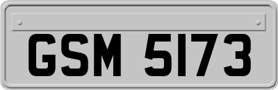 GSM5173