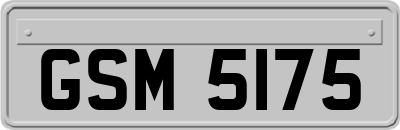 GSM5175