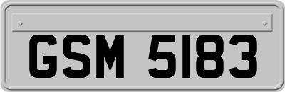 GSM5183