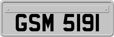 GSM5191
