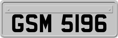 GSM5196