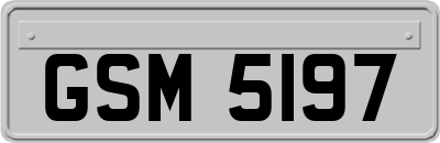GSM5197