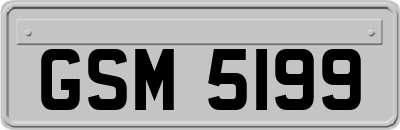 GSM5199