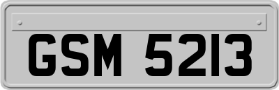 GSM5213