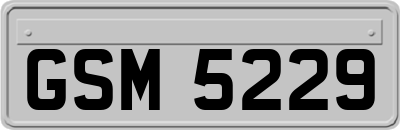 GSM5229