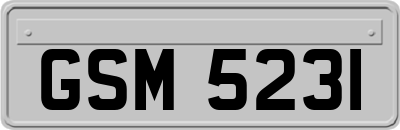 GSM5231