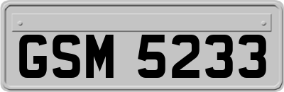 GSM5233