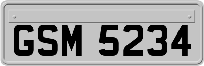 GSM5234