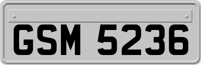 GSM5236