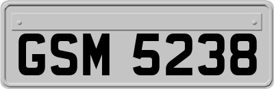 GSM5238