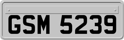 GSM5239