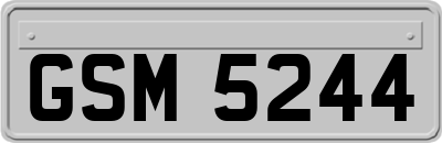 GSM5244