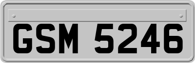 GSM5246