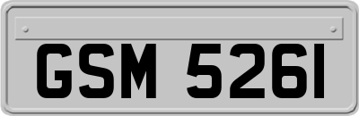 GSM5261