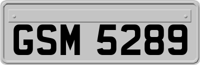 GSM5289