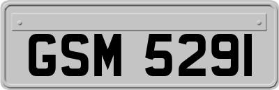 GSM5291