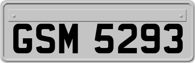 GSM5293