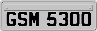 GSM5300
