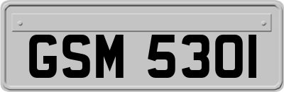 GSM5301