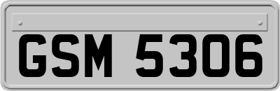 GSM5306