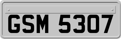 GSM5307