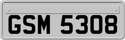 GSM5308